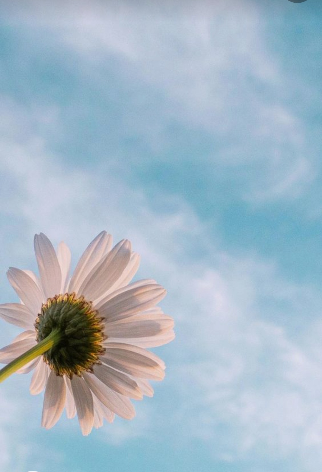 تربیت نوجوان سرکش